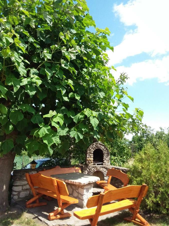Szentesi Panzio Bed and Breakfast Fertőrákos Eksteriør billede