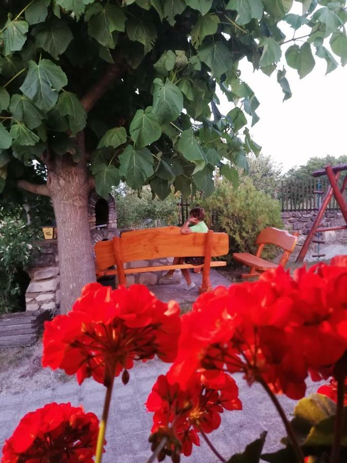 Szentesi Panzio Bed and Breakfast Fertőrákos Eksteriør billede
