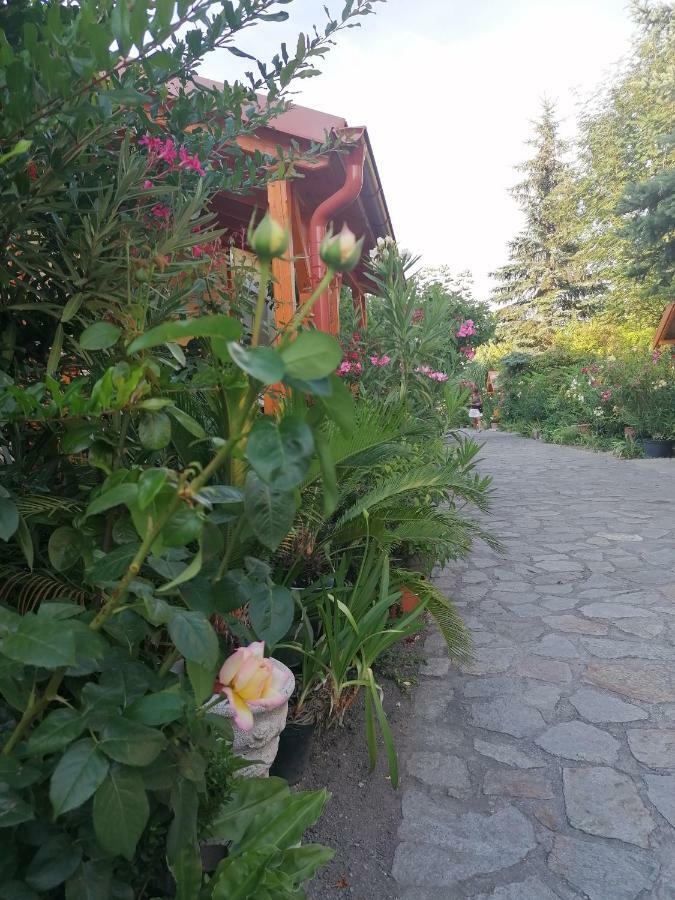 Szentesi Panzio Bed and Breakfast Fertőrákos Eksteriør billede