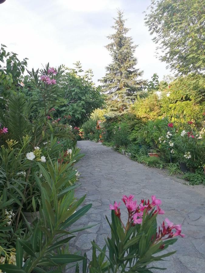 Szentesi Panzio Bed and Breakfast Fertőrákos Eksteriør billede