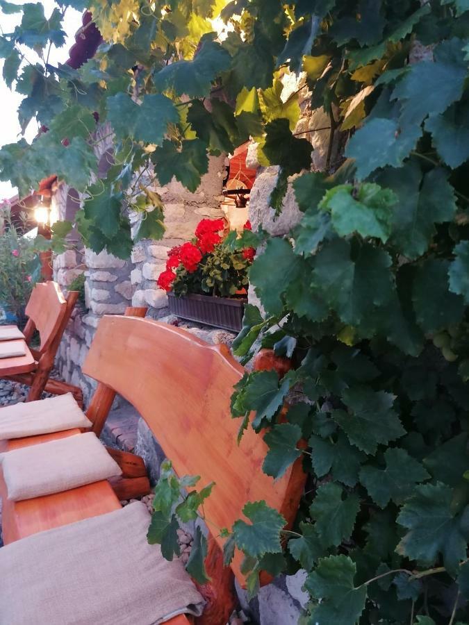Szentesi Panzio Bed and Breakfast Fertőrákos Eksteriør billede